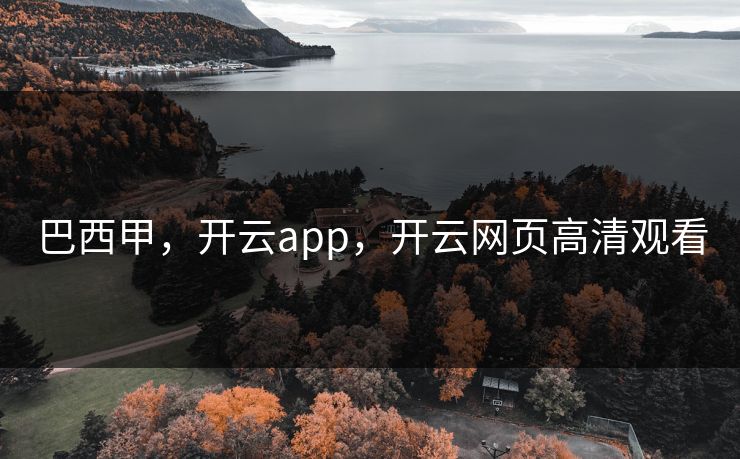 巴西甲，开云app，开云网页高清观看