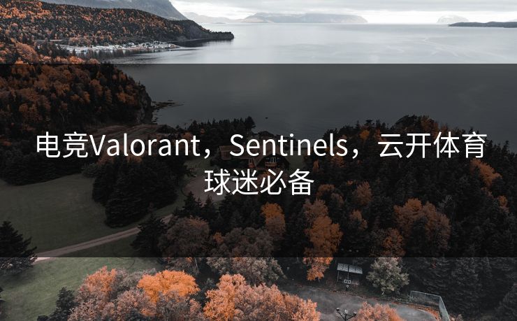 电竞Valorant，Sentinels，云开体育球迷必备